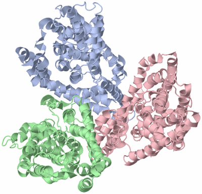 Image Asym./Biol. Unit