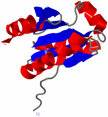 Image NMR Structure - model 1