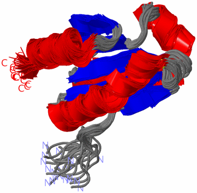 Image NMR Structure - all models