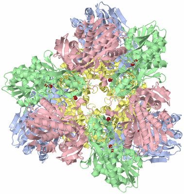 Image Biological Unit 1