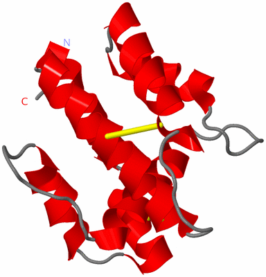 Image NMR Structure - model 1