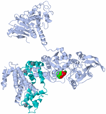 Image Biological Unit 1