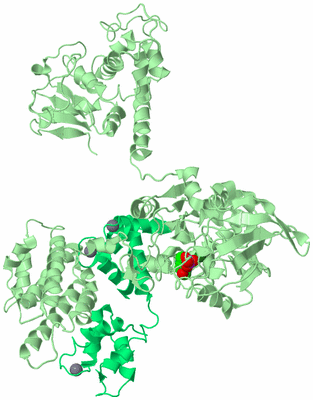 Image Biological Unit 2