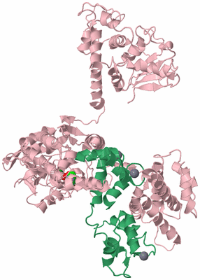 Image Biological Unit 3