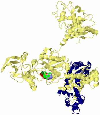 Image Biological Unit 4