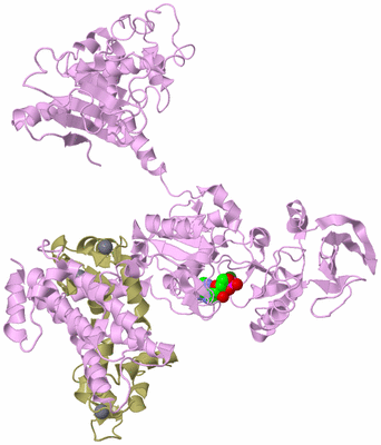 Image Biological Unit 5