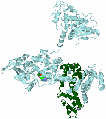 Image Biological Unit 6