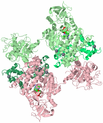 Image Biological Unit 8