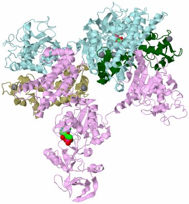 Image Biological Unit 9