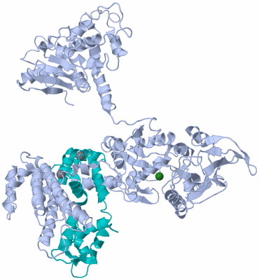 Image Biological Unit 1