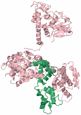 Image Biological Unit 3