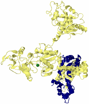 Image Biological Unit 4