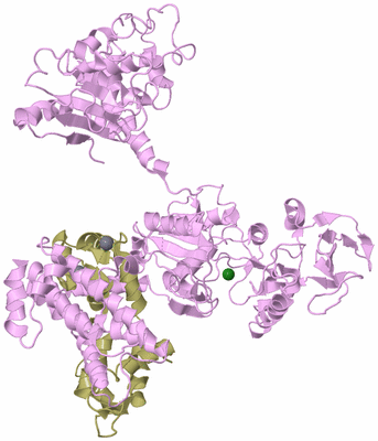 Image Biological Unit 5