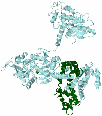 Image Biological Unit 6