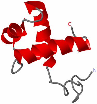 Image NMR Structure - model 1