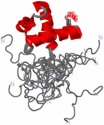 Image NMR Structure - all models