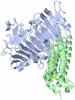 Image Asym./Biol. Unit