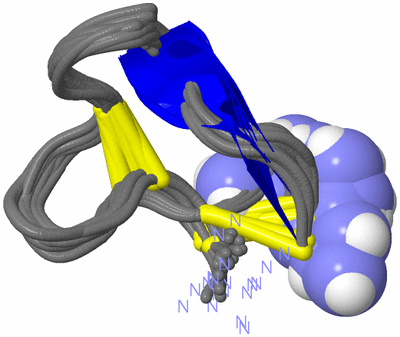 Image NMR Structure - all models