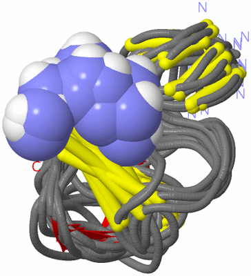 Image NMR Structure - all models