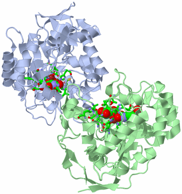 Image Asym./Biol. Unit - sites