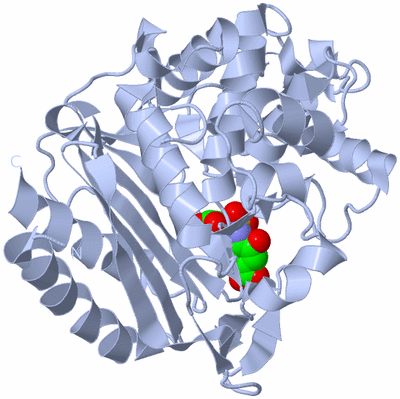 Image Biological Unit 1