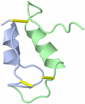 Image NMR Structure - model 1