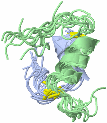 Image NMR Structure - all models