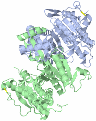 Image Asym./Biol. Unit