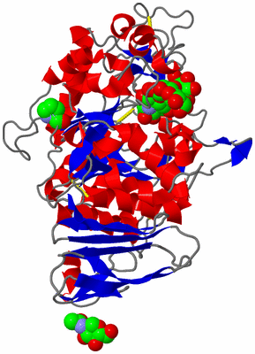 Image Asym./Biol. Unit