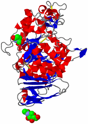 Image Asym./Biol. Unit