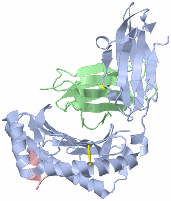 Image Asym./Biol. Unit