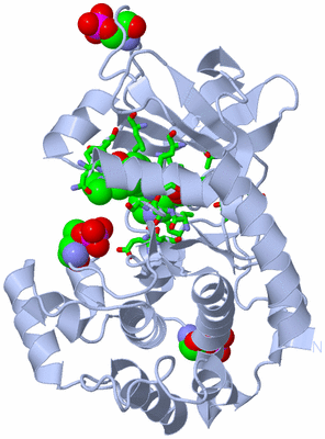 Image Biol. Unit 1 - sites