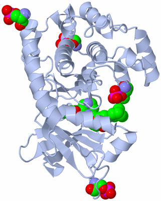 Image Biological Unit 1