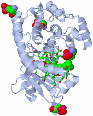 Image Biol. Unit 1 - sites