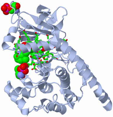 Image Biol. Unit 1 - sites