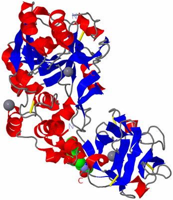 Image Asym./Biol. Unit