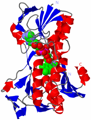 Image Asym./Biol. Unit