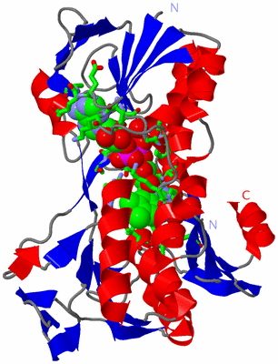 Image Asym./Biol. Unit - sites