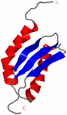Image NMR Structure - model 1