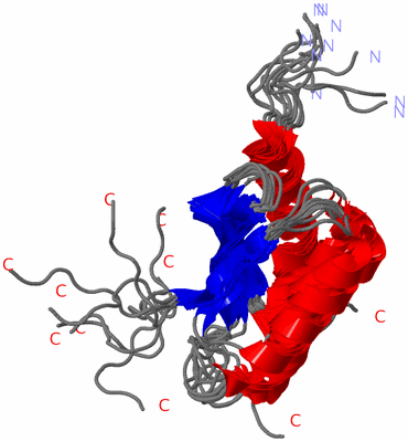 Image NMR Structure - all models