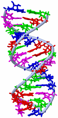 Image NMR Structure - model 1