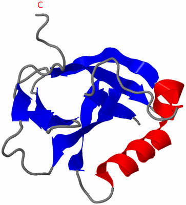 Image NMR Structure - model 1