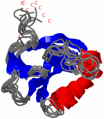 Image NMR Structure - all models