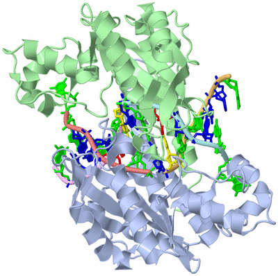 Image Biological Unit 1