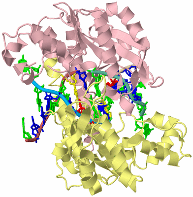 Image Biological Unit 2