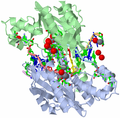 Image Biol. Unit 1 - sites