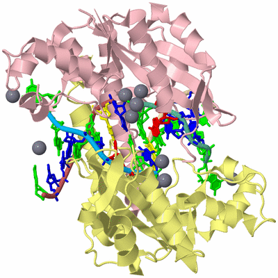 Image Biological Unit 2