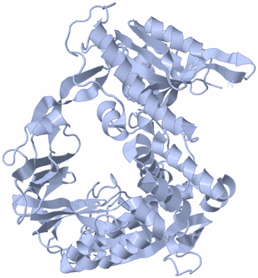 Image Biological Unit 1