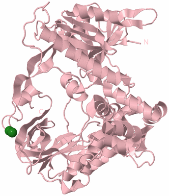 Image Biological Unit 3