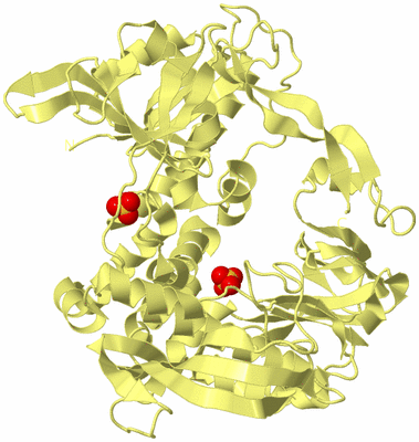 Image Biological Unit 4